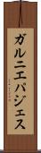 ガルニエパジェス Scroll