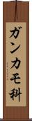 ガンカモ科 Scroll