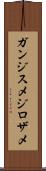 ガンジスメジロザメ Scroll