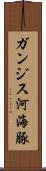 ガンジス河海豚 Scroll