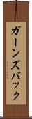 ガーンズバック Scroll