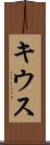 キウス Scroll