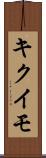 キクイモ Scroll