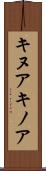 キヌア Scroll