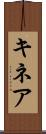 キネア Scroll