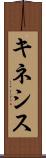 キネシス Scroll