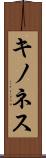 キノネス Scroll