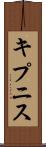 キプニス Scroll