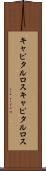 キャピタルロス Scroll