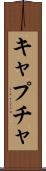 キャプチャ Scroll