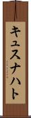 キュスナハト Scroll