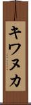 キワヌカ Scroll