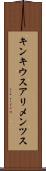 キンキウスアリメンツス Scroll