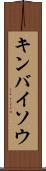 キンバイソウ Scroll