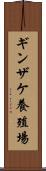 ギンザケ養殖場 Scroll