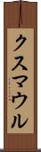 クスマウル Scroll