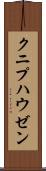 クニプハウゼン Scroll