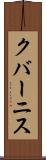 クバーニス Scroll