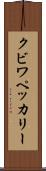クビワペッカリー Scroll