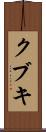 クブキ Scroll