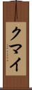 クマイ Scroll