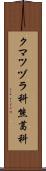 クマツヅラ科 Scroll