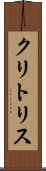クリトリス Scroll