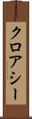クロアシー Scroll