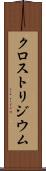 クロストリジウム Scroll