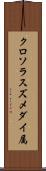 クロソラスズメダイ属 Scroll