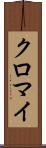 クロマイ Scroll