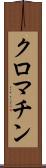 クロマチン Scroll