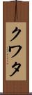 クワタ Scroll