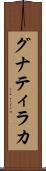 グナティラカ Scroll