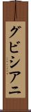 グビシアニ Scroll