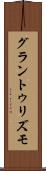 グラントゥリズモ Scroll