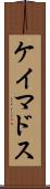ケイマドス Scroll