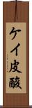 ケイ皮酸 Scroll
