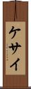 ケサイ Scroll