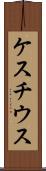 ケスチウス Scroll