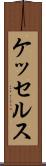 ケッセルス Scroll