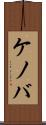 ケノバ Scroll