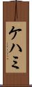 ケハミ Scroll