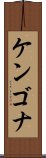 Kengona Scroll