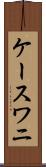 ケースワニ Scroll
