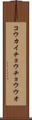 コウカイチョウチョウウオ Scroll
