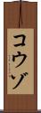 コウゾ Scroll
