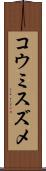 コウミスズメ Scroll