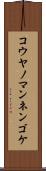コウヤノマンネンゴケ Scroll