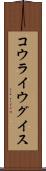 コウライウグイス Scroll